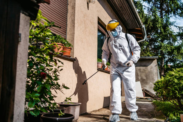 Best Best Pest Control Companies  in Ordway, CO