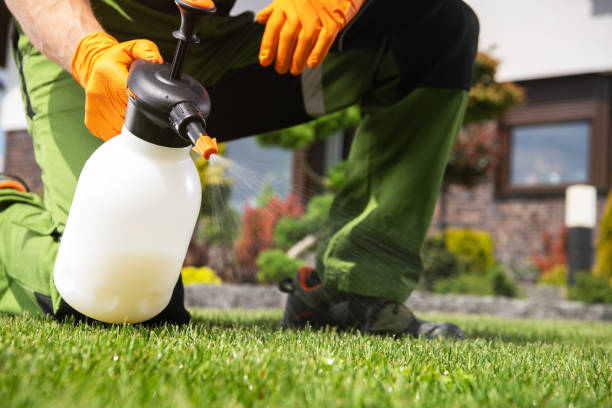 Best Best Pest Control Companies  in Ordway, CO