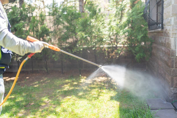 Best Affordable Pest Control Services  in Ordway, CO