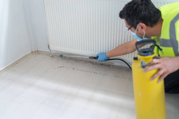 Professional Pest Control in Ordway, CO
