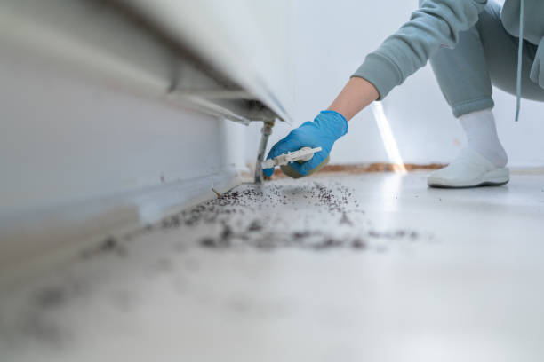 Best Pest Inspection Near Me  in Ordway, CO