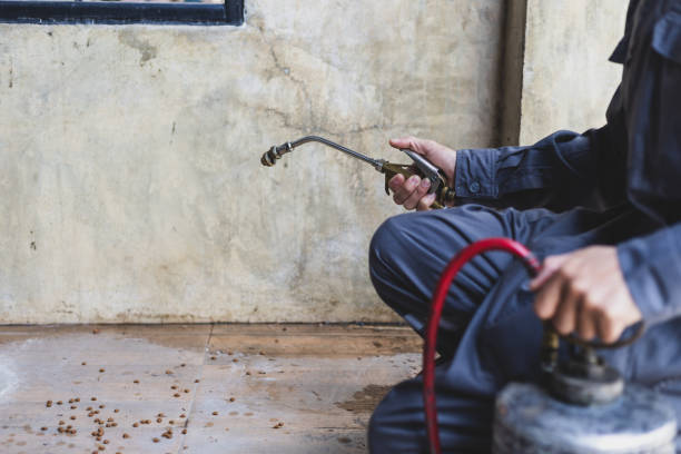 Best Wasp Removal Services  in Ordway, CO