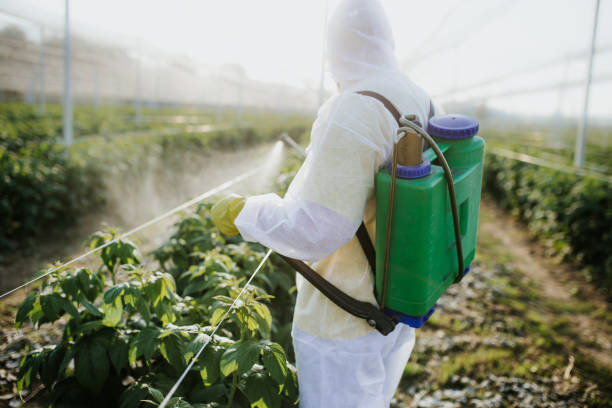 Best Residential Pest Control  in Ordway, CO